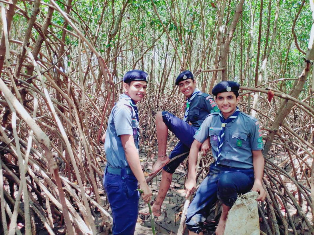 "Beat Air Pollution"- Mangrove's Plantation by Bsg Udupi District Association , Karnataka State, India.