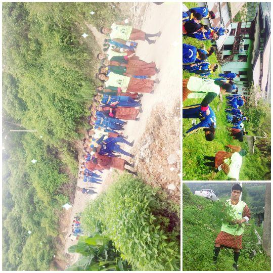 Move towards tobacco_ free Nation 