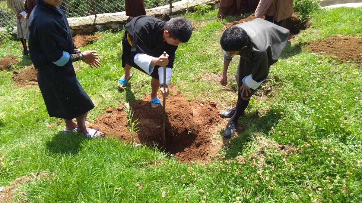 community service (2)