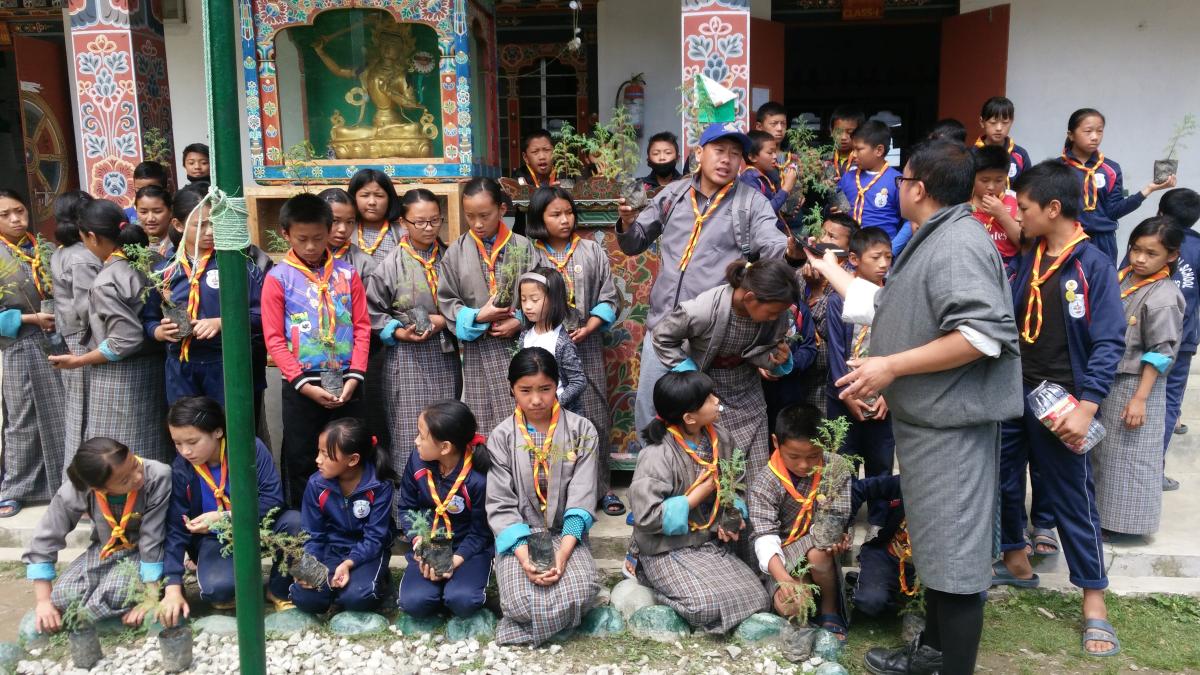 Observing Forestry Day,2019