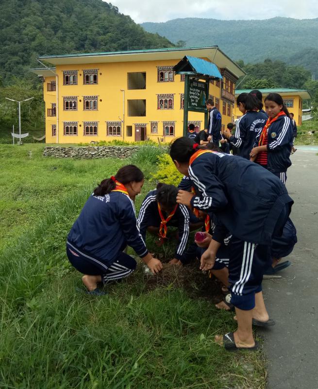 June 2nd tree plantation