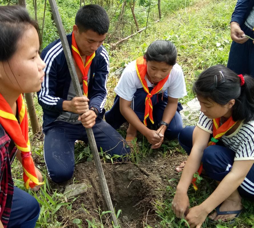 Observation of Ozone day