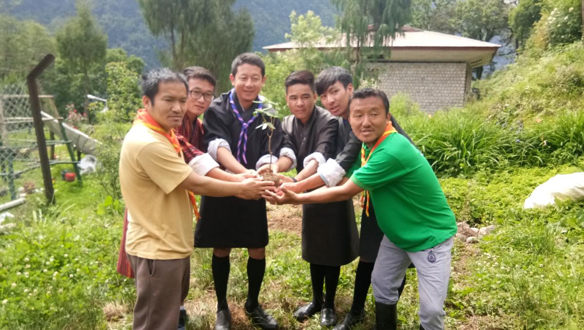 Plantation for greener school