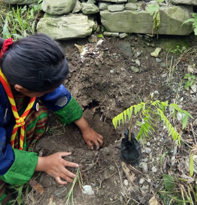 Social forestry day 