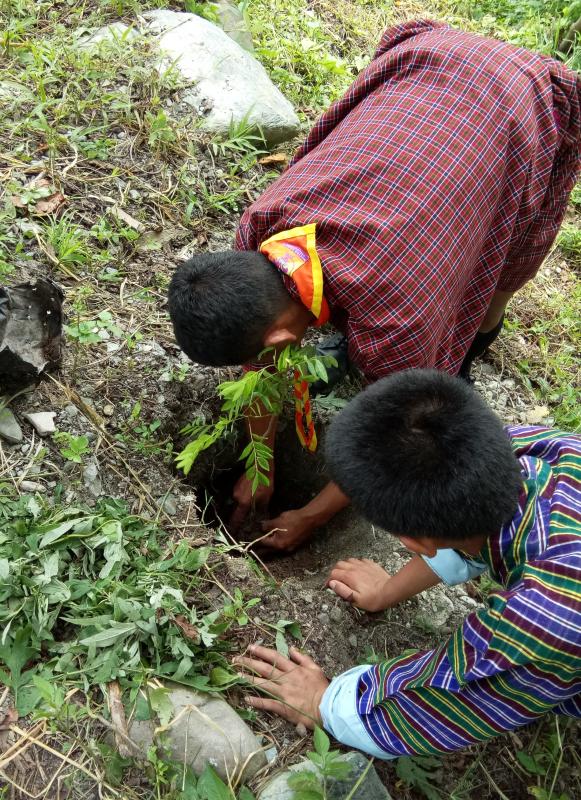 Celebration of world environmental day