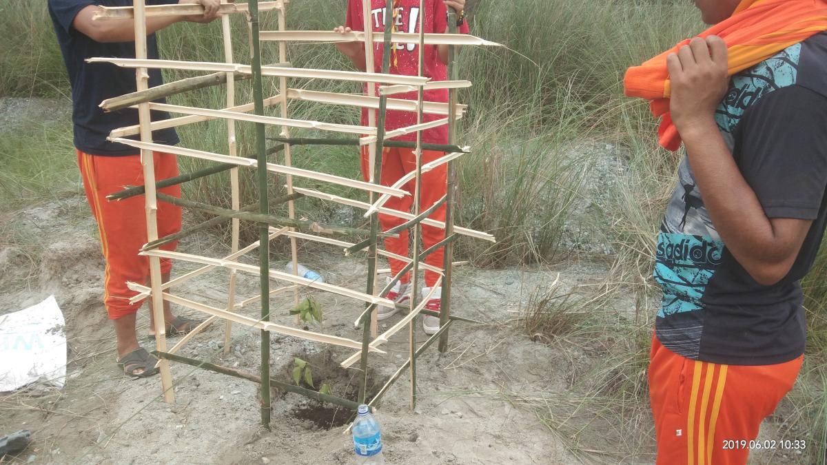 plant trees for good resources