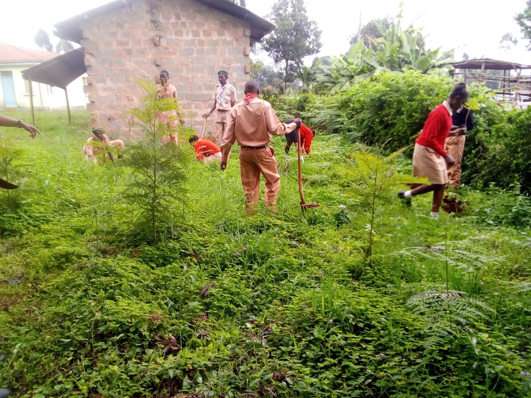 Environmental Conservation.