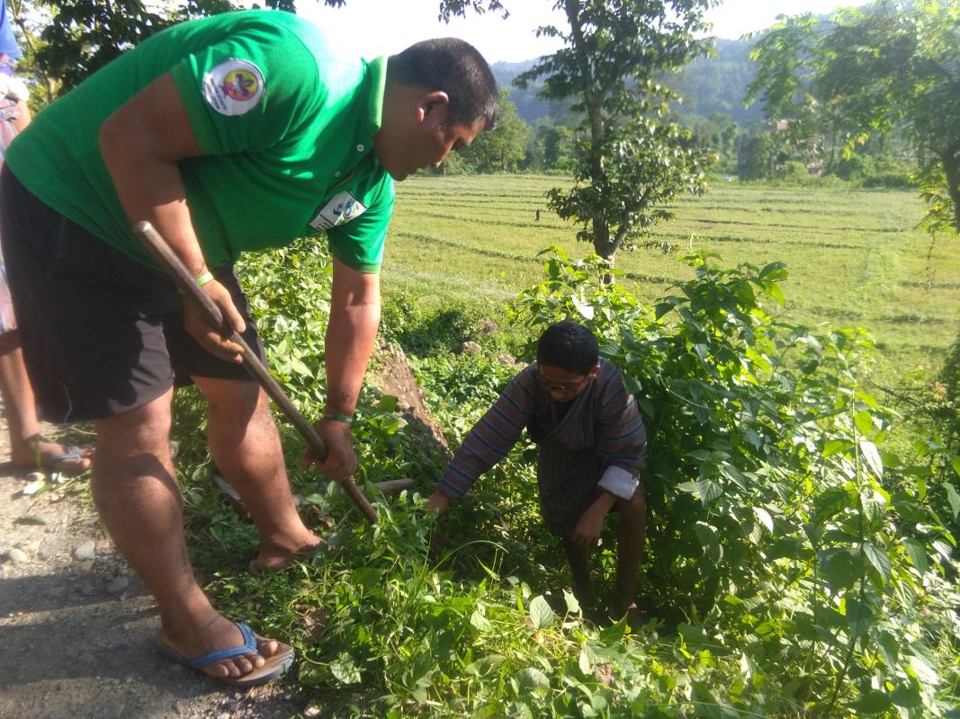Road to Peace, Phase III, Planting of 1000 ornamental flower saplings 