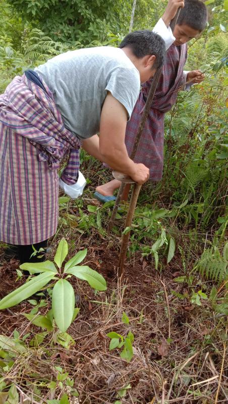 World Environment Day