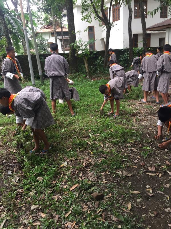 World Environment day