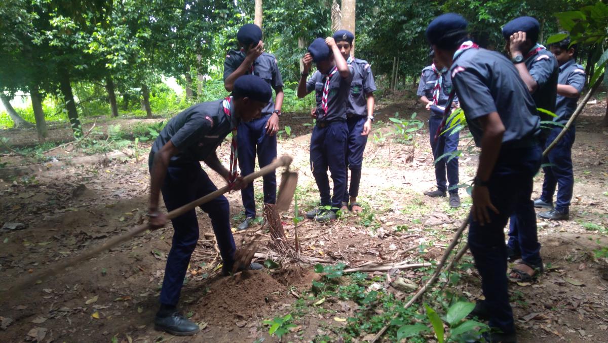 Planting trees