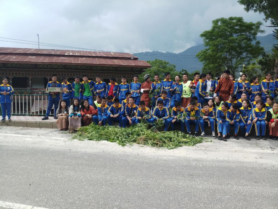 Messenger of peace for no tobacco day