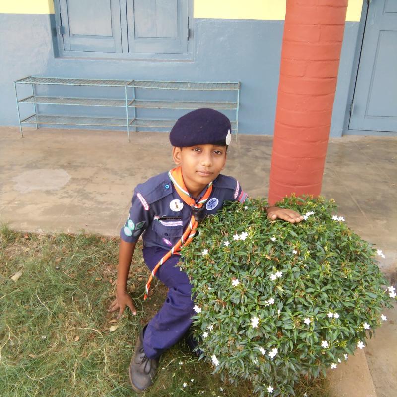 world environoment day
