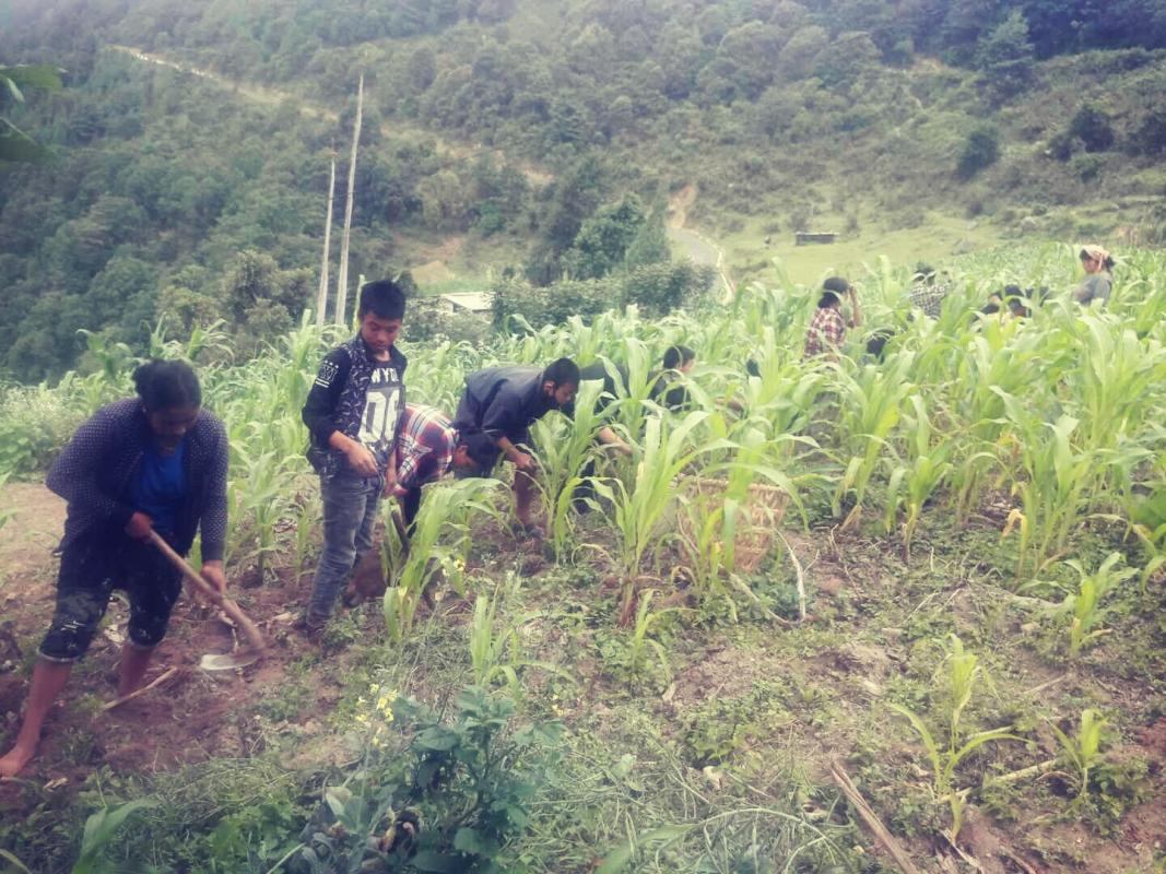 Community service (01)