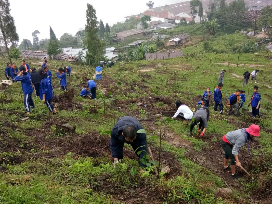 Importance of forest 