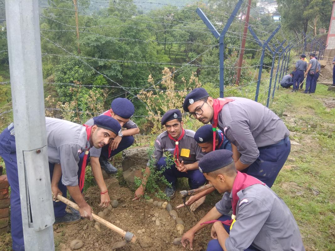 Tree Plantation Drive at STC Rewalsar, Mandi