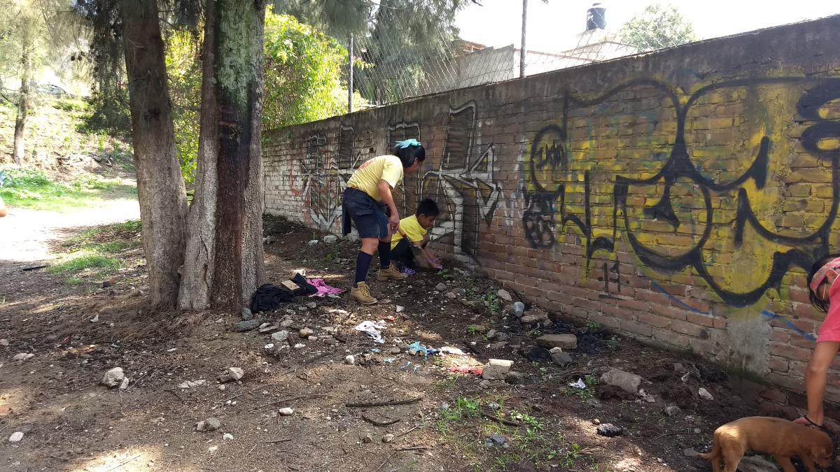 PARED VERTICAL CON PET