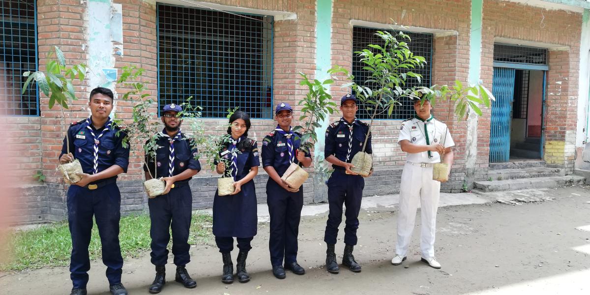 Tree Plantation 2019