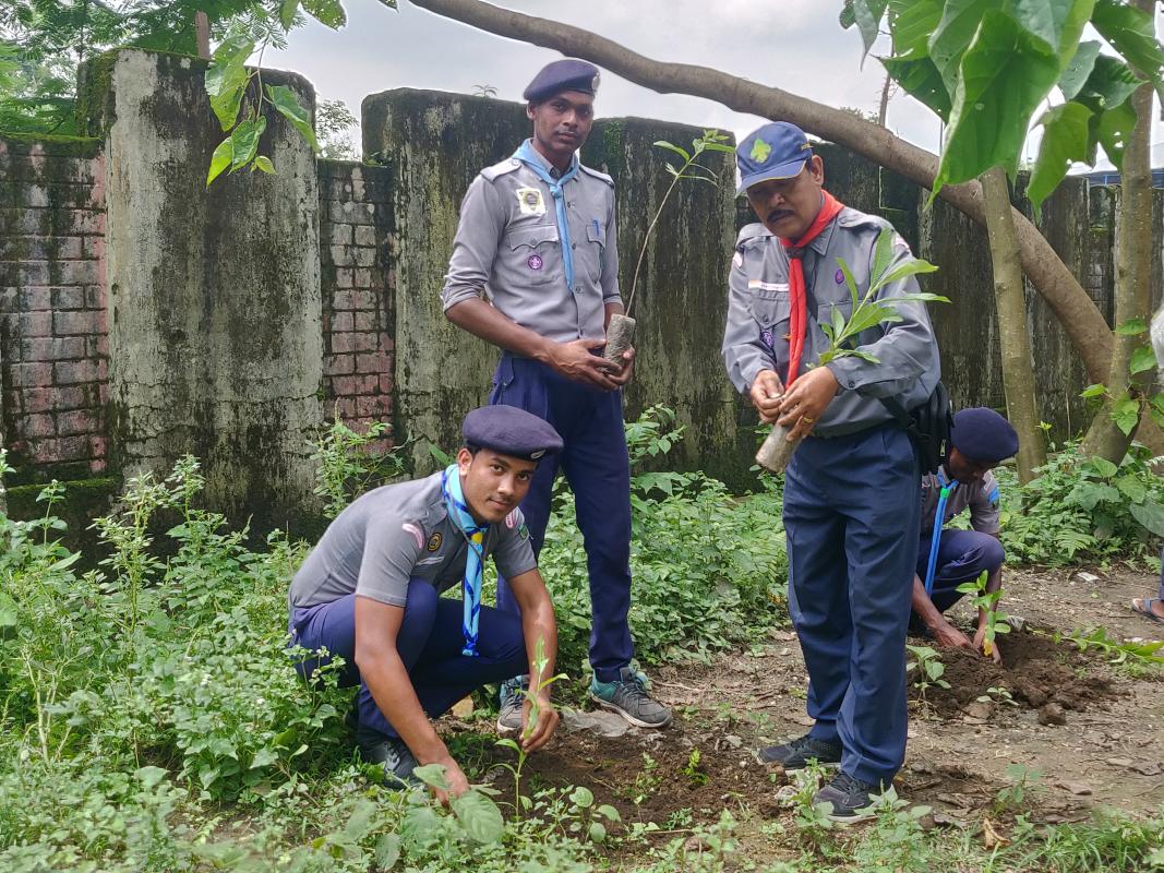 Tree plantation program