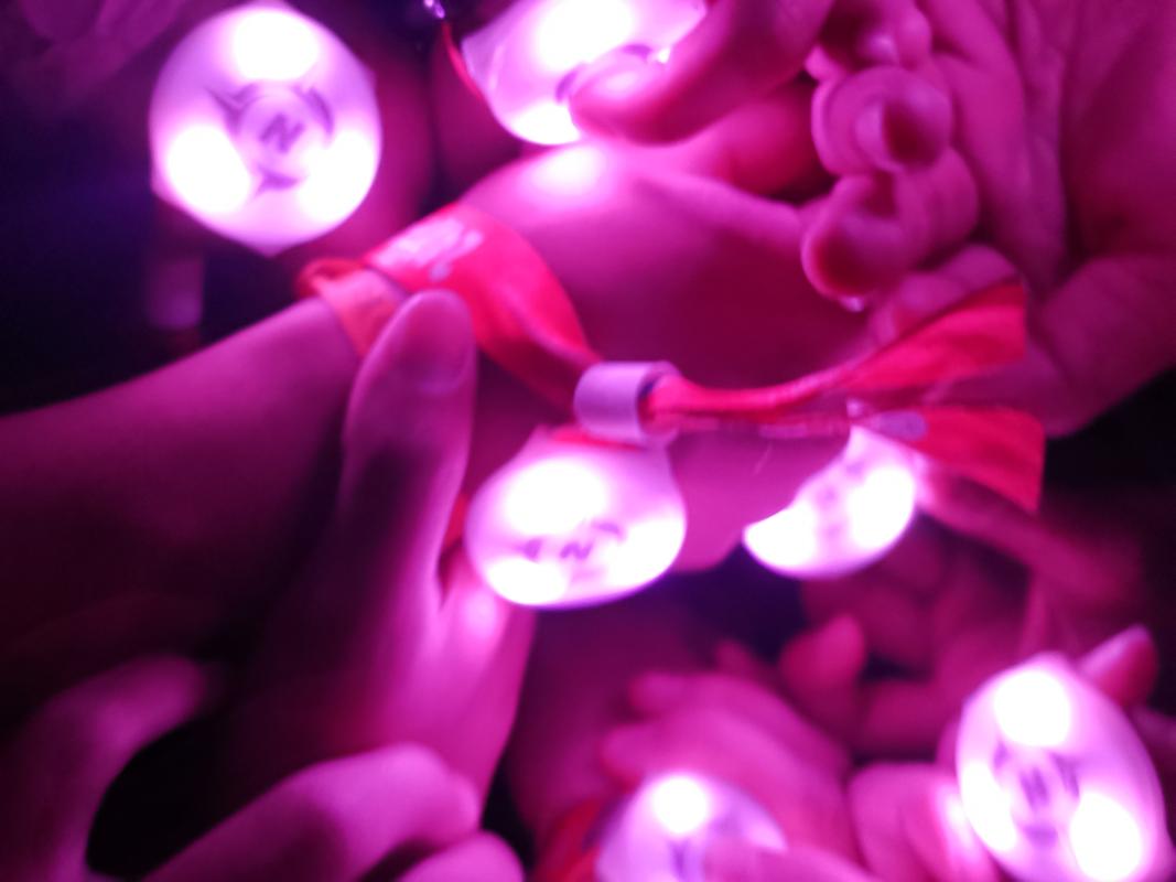 The 24th World Scout Jamboree