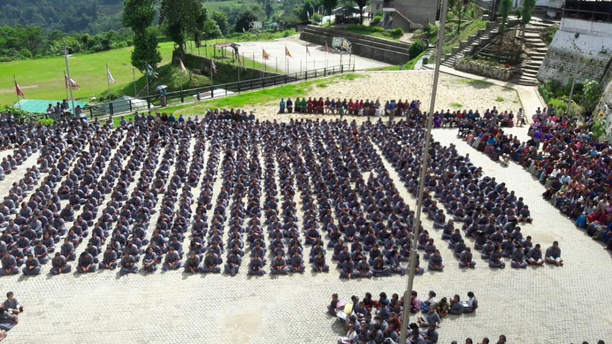 "Co-dinate result Day"