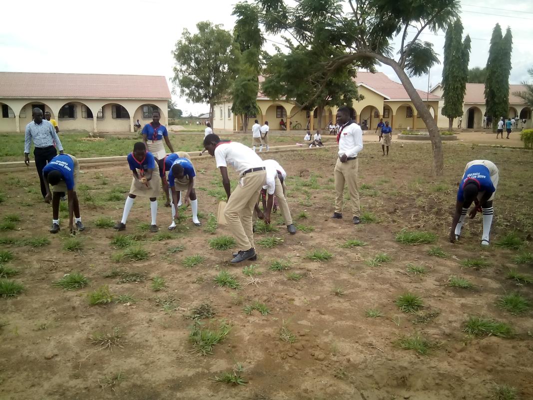 A scout conserves nature,Rhema high school plants pasture palm(grass)