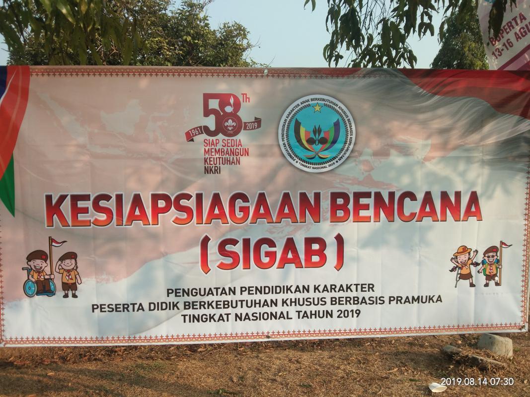 Disaster Preparedness for Disability Scouts