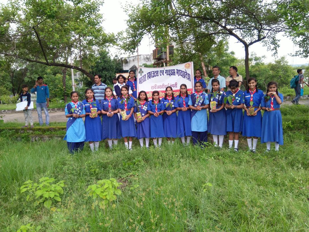 Plantation 2019