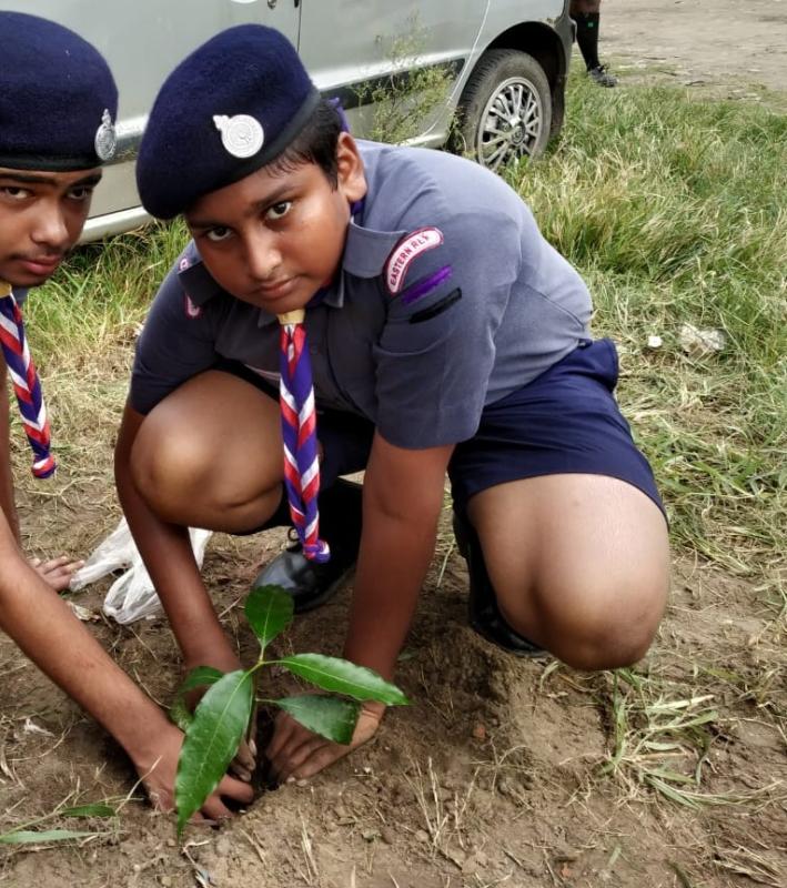 SAMKALP - PLANTATION