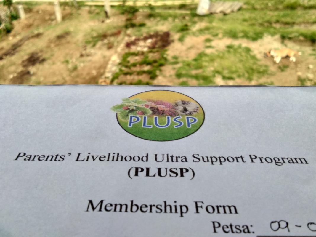 PLUSP Free Membership