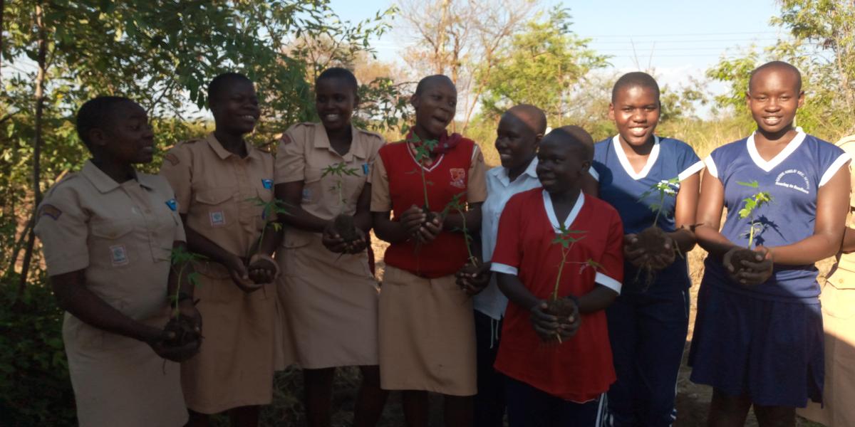 Bande Fruit Orchard & Re-greening Project