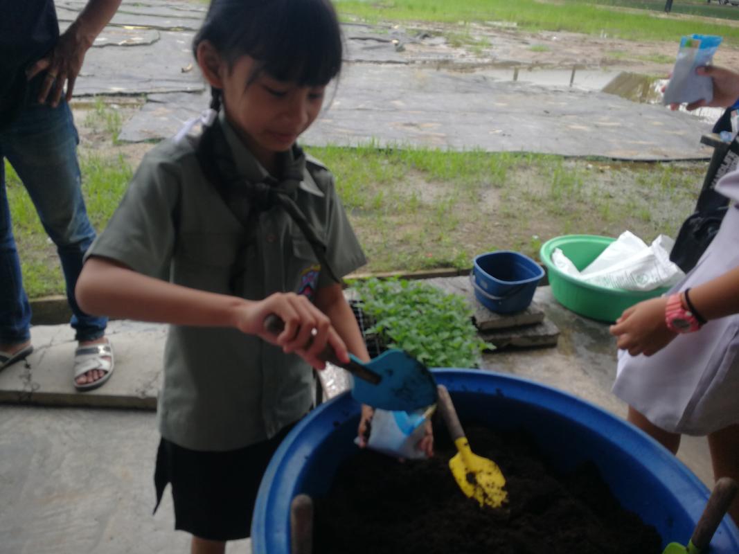 ปลูกต้นไม้