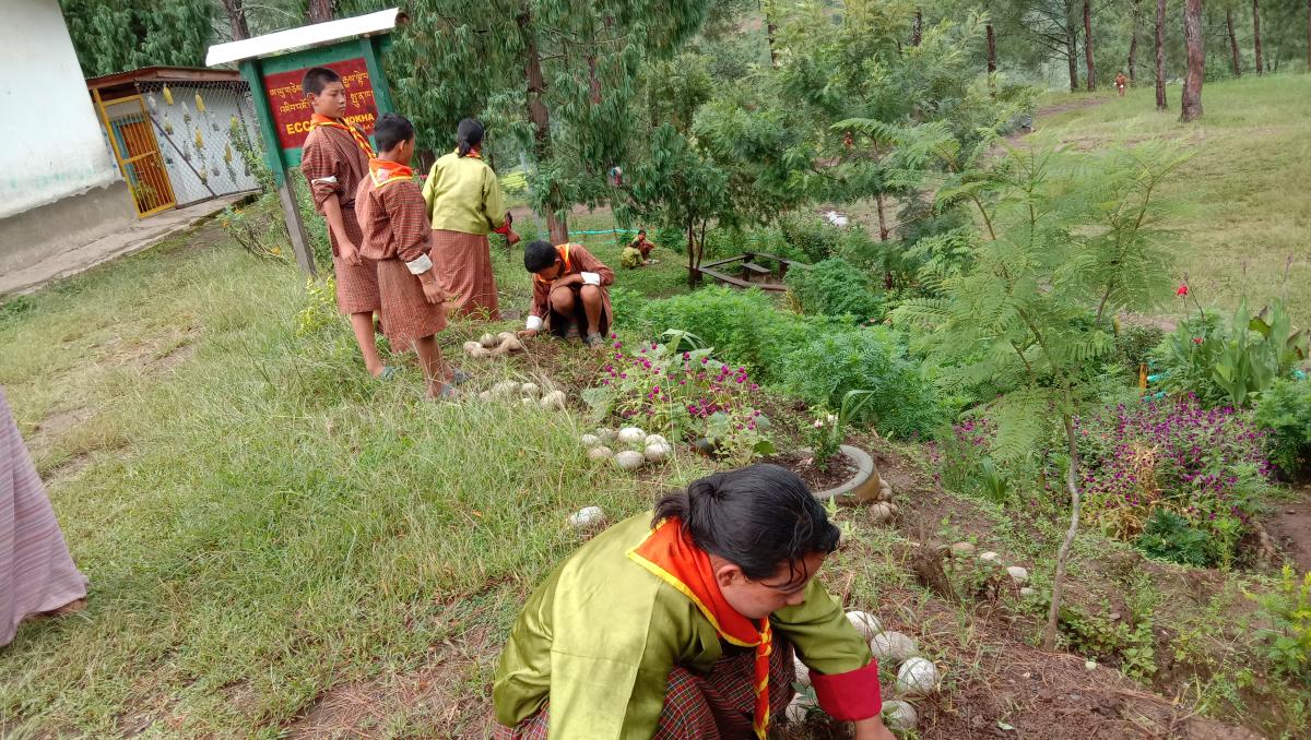 Adoption of tree in celebration of world peace day.