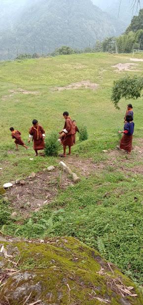 international peace day plantation