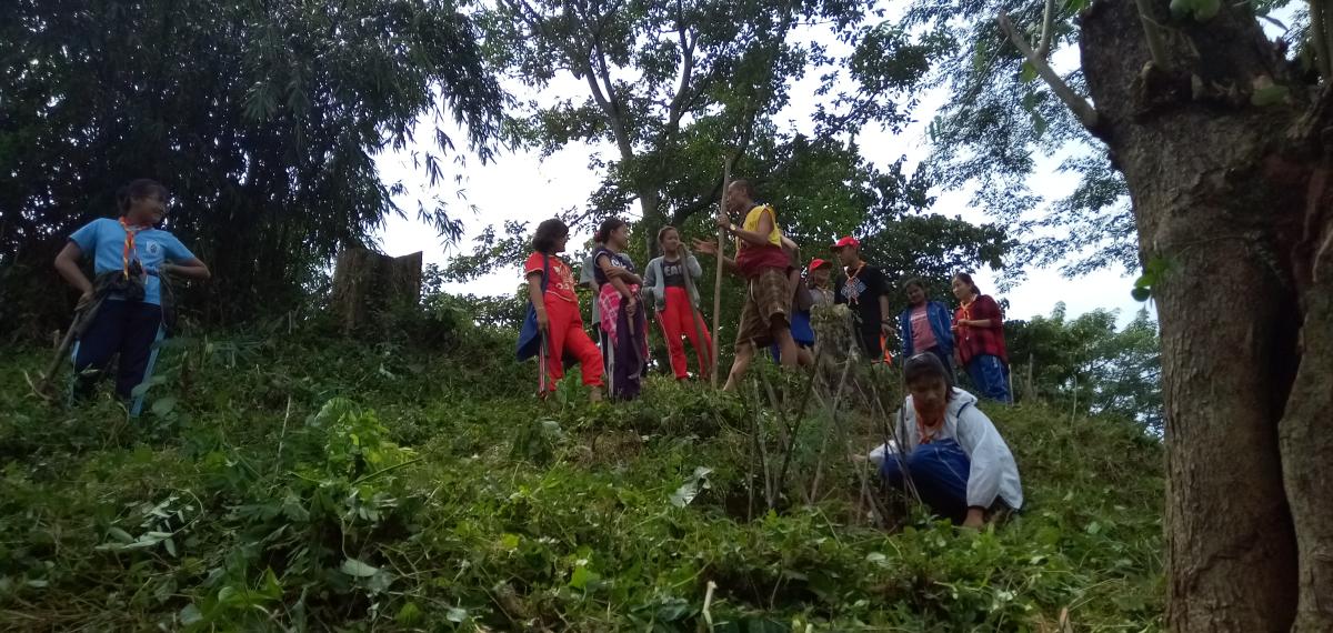 Community service in Pemaling Dratshang 