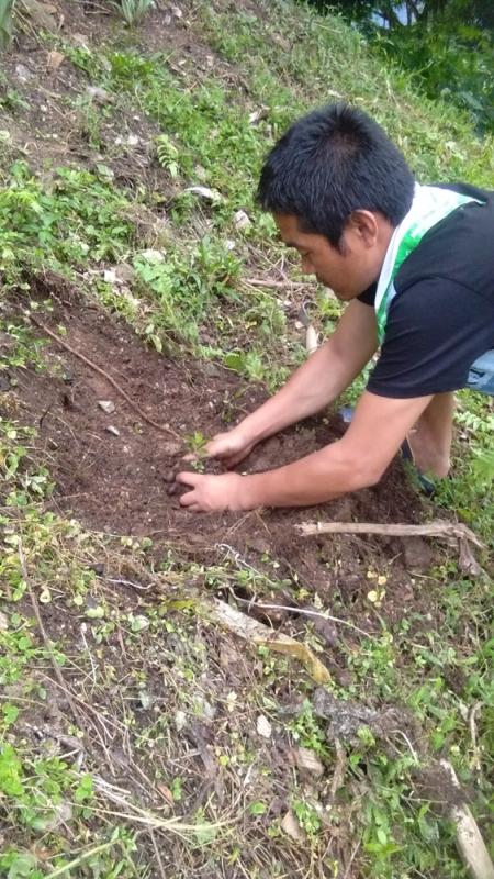 Greening Project for two weeks (from 22nd September to 5th October)