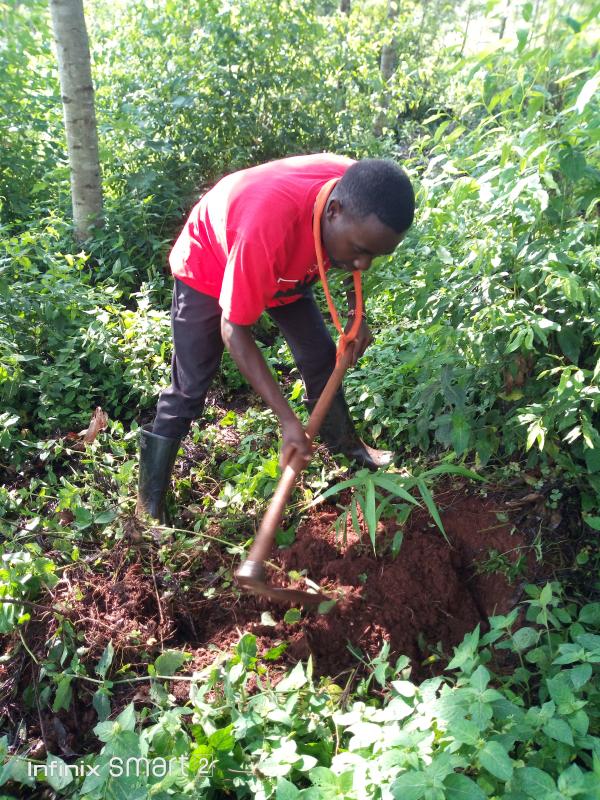 Environmental conservation 
