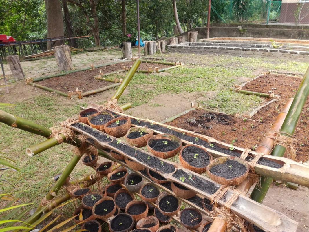 Go Green!!! Organic Garden