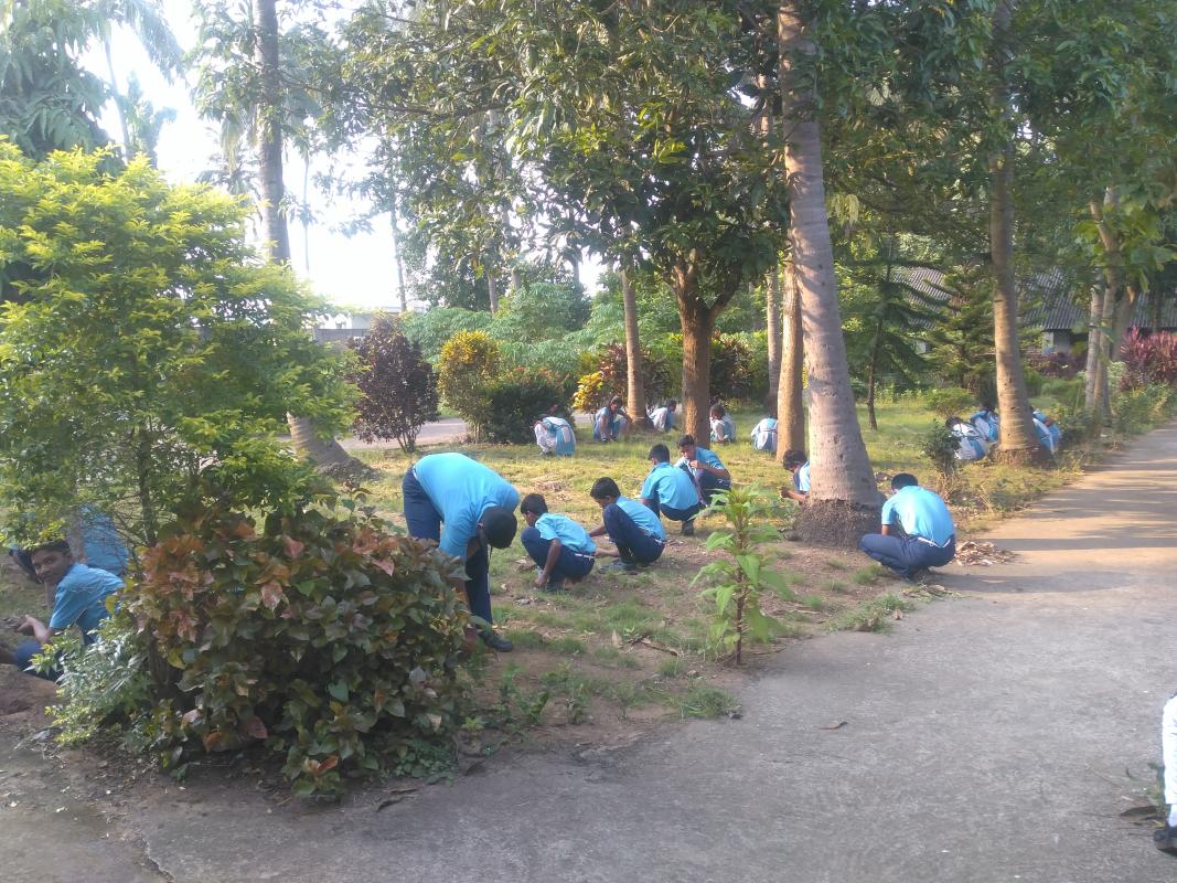 school garden cliningness program