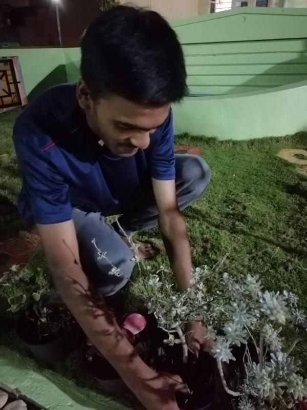 Plant A Tree for better Tomorrow!!