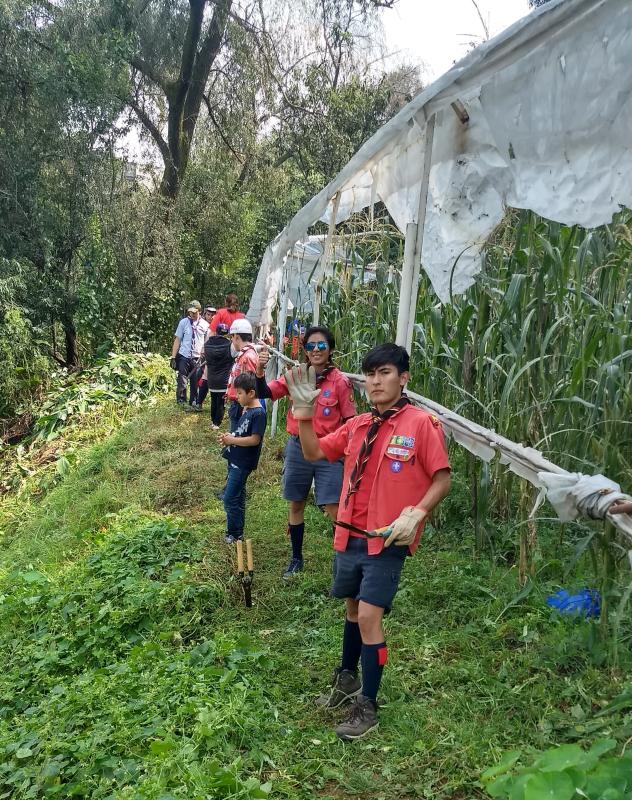 HUERTOS SUSTENTABLES PARA LA COMUNIDAD.