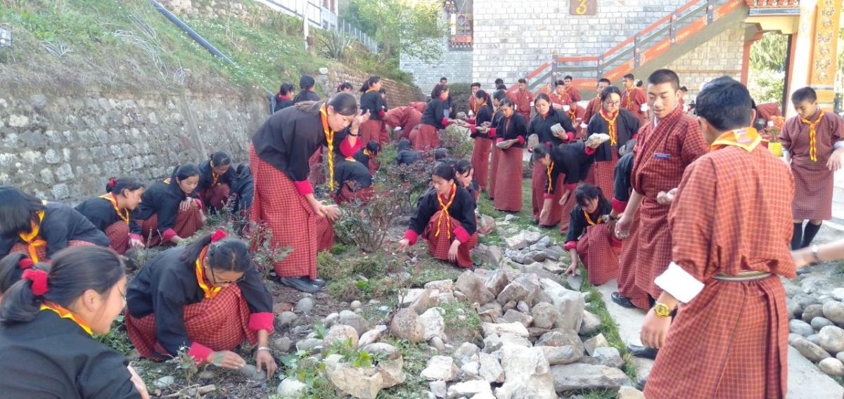Cleaning Campaign