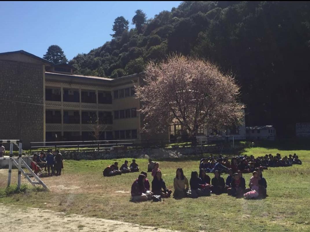 School picnic