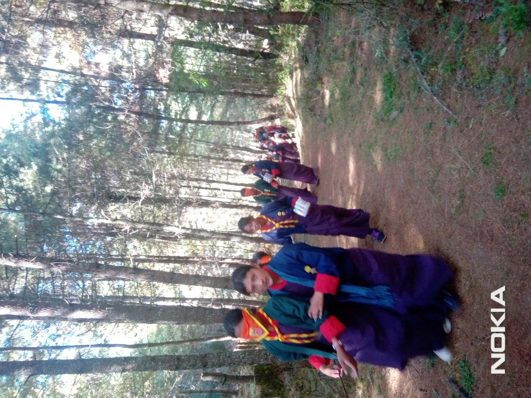 hiking 