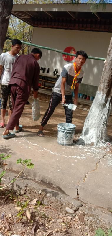 Painting of trees stem