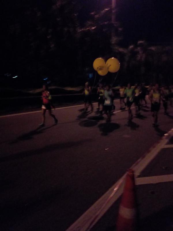 Penang Bridge International Marathon Duty 2019