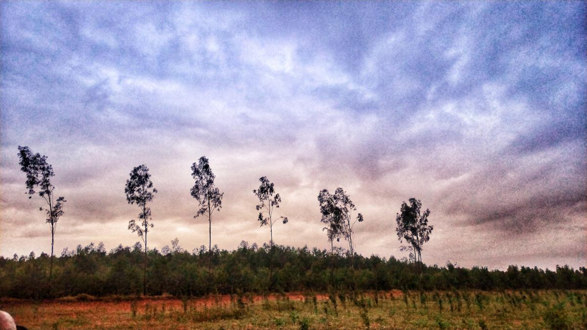 ಸುಹಾಸ್ ಶಂ ಗೌಡ