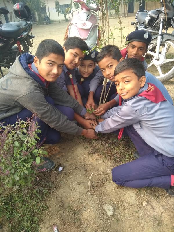 Plantation