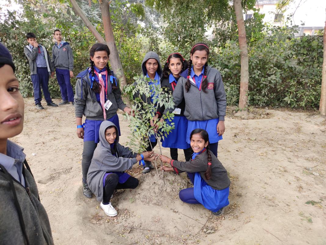 CLEANLINESS PLANTATION DRIVE AND MOP ACTIVITY