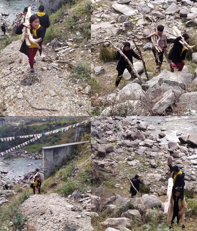 Collection of fire wood